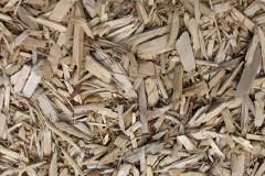 biomass boilers Liceasto
